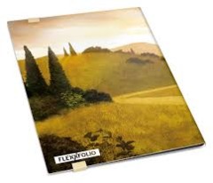 UG FlexFolio 9-Pockets Lands Plains